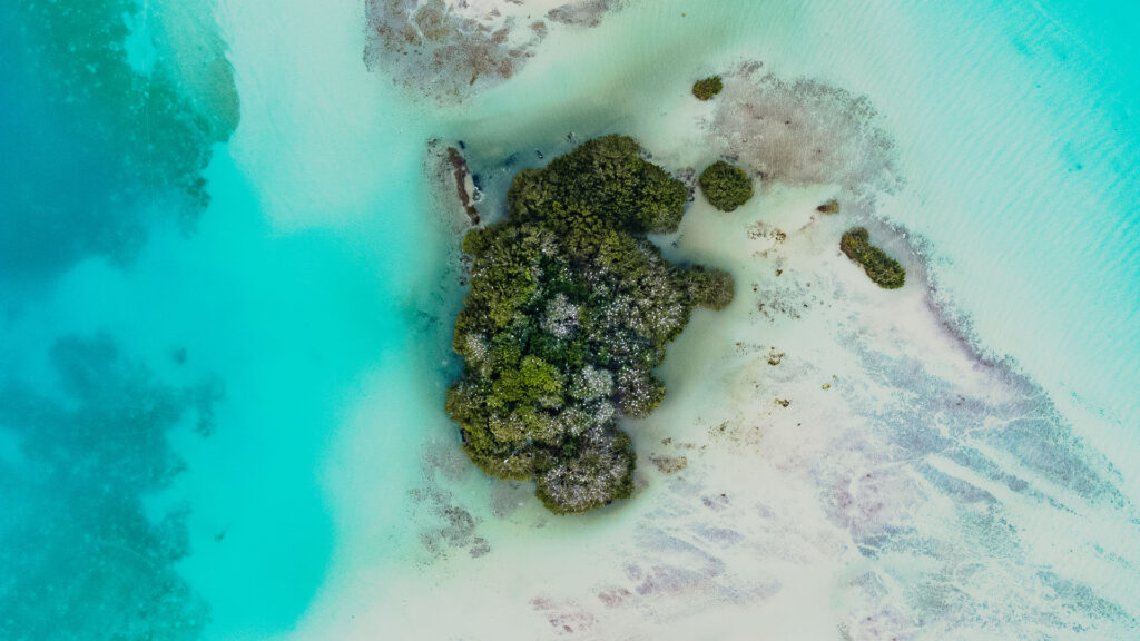 Isla De Los Pájaros Min