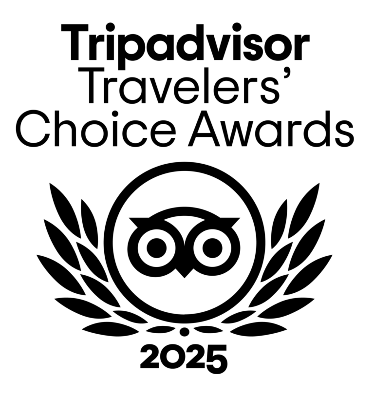 TC transparent BF Logo L 2025 CMYK e1747981396856 768x817.png